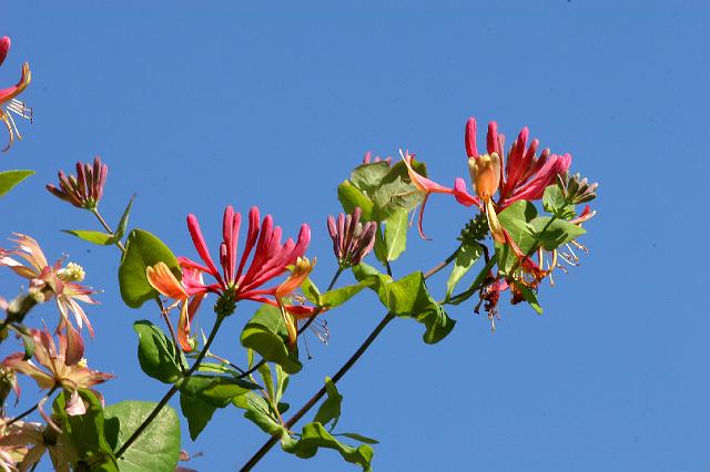 IMG_0063.jpg