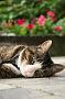 IMG_6473