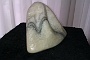 2012-02-03 10.16.31