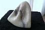 2012-02-03 10.17.43