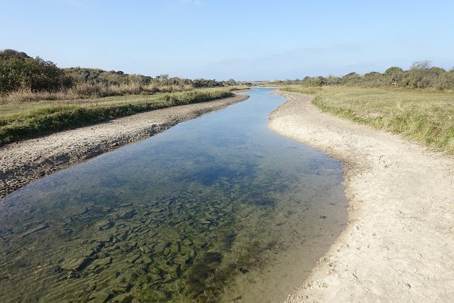 DSC04474_resize.JPG
