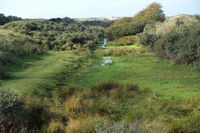 DSC04479_resize.JPG