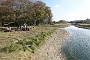 DSC04475_resize