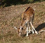 IMG_7712_resize
