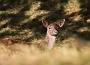 IMG_7716_resize