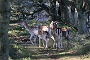 IMG_7731_resize
