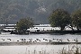IMG_7737_resize