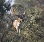 IMG_7748_resize