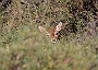 IMG_7791_resize