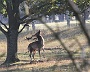 IMG_7811_resize