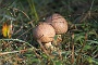 IMG_7815_resize