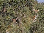 IMG_7824_resize