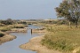 IMG_7831_resize