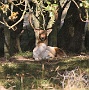 IMG_7834_resize