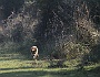 IMG_7849_resize