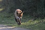 IMG_7858_resize