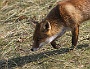 IMG_7869_resize