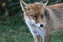 IMG_7908_resize