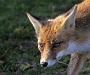 IMG_7971_resize