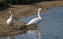 IMG_7980_resize