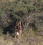IMG_8013_resize
