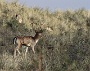 IMG_8031_resize