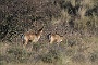 IMG_8034_resize