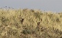 IMG_8038_resize