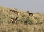 IMG_8042_resize