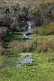 IMG_8047_resize