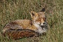 IMG_8078_resize