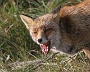 IMG_8085_resize