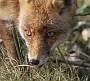IMG_8101_resize