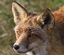IMG_8104_resize