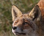 IMG_8108_resize