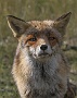 IMG_8138_resize