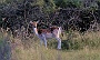 IMG_8157_resize