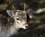 IMG_8168_resize