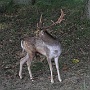 IMG_8185_resize