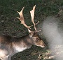 IMG_8186_resize