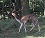 IMG_8194_resize