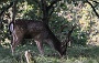 IMG_8200_resize